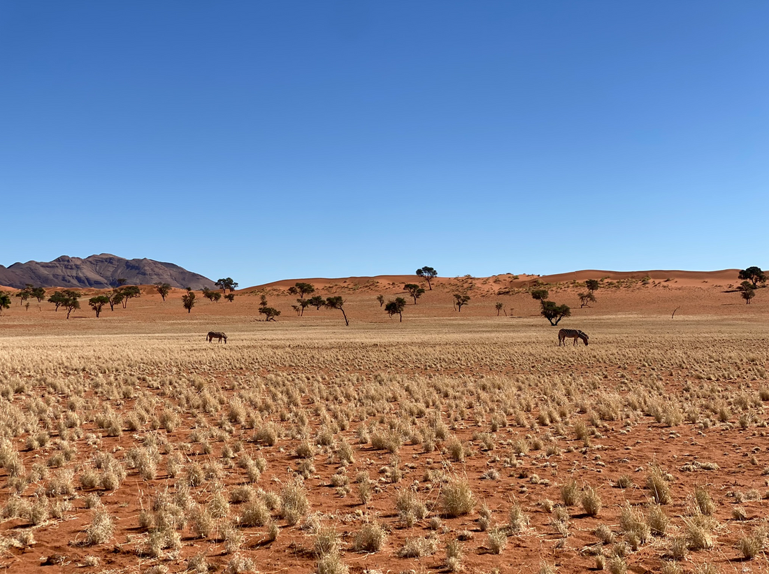 Réserve naturelle Namibrand